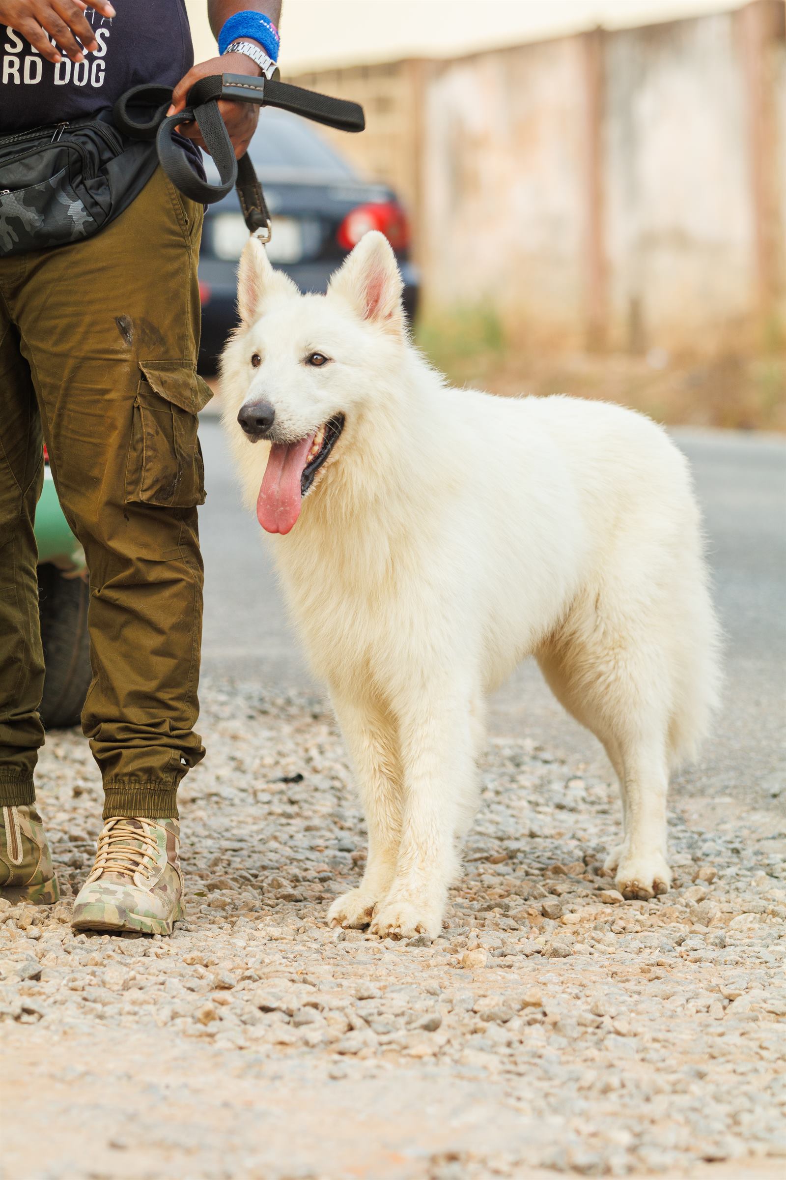 AAK Pet Shop gallery photo 31