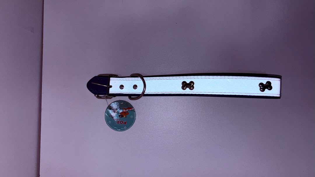 Reflective White Dog Collar with Bone Charm Detailing and Buckle