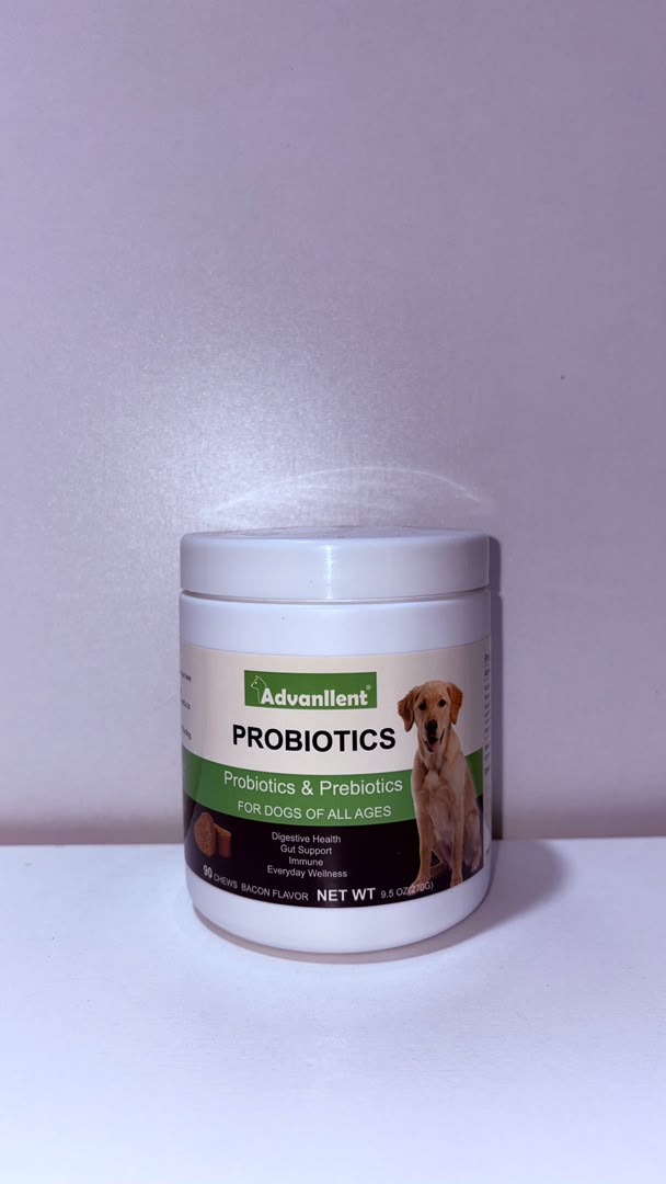 Advanllent Probiotics &amp; Prebiotics Soft Chews for Dogs of All Ages – Bacon Flavor (90 Chews)