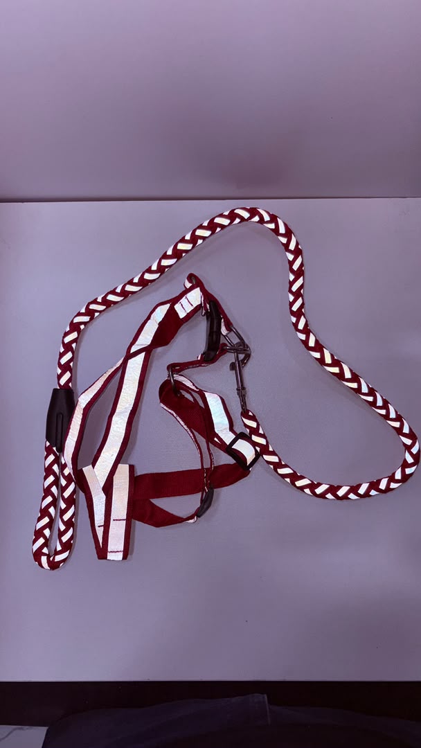 Maroon &amp; White Braided Rope Dog Leash with Reflective Harness Set