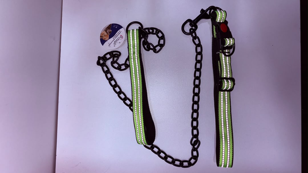 Reflective Green Stripe Nylon Dog Collar with Metal Chain Leash