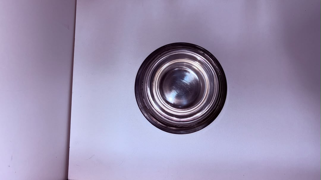 Stainless Steel Pet Feeding Bowl 16 cm