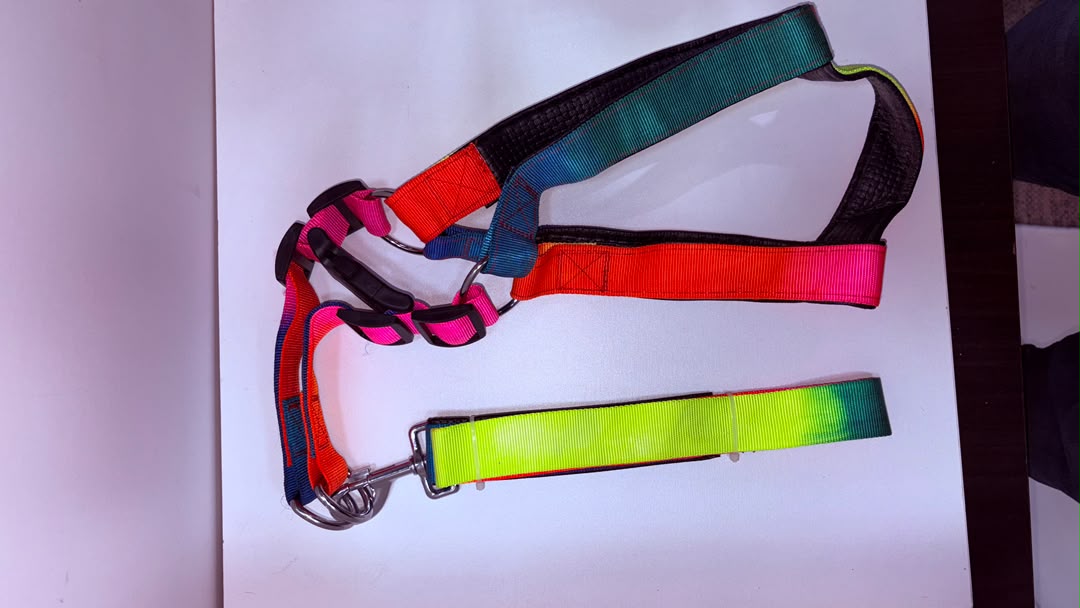 Rainbow Tie-Dye Adjustable Dog Harness and Leash Set with Padded Handle