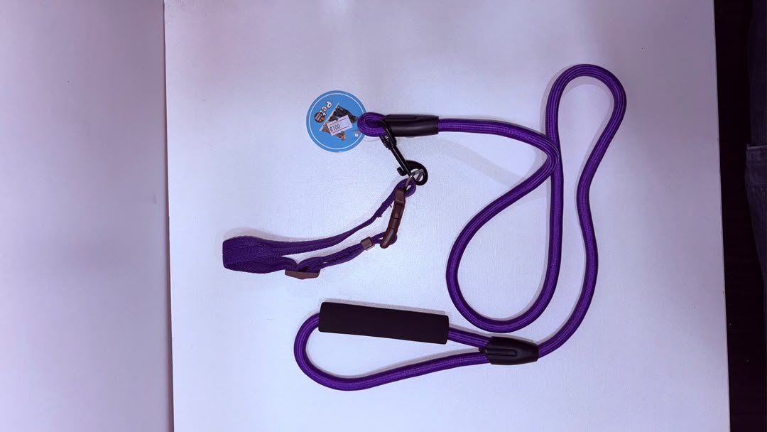 Purple Braided Rope Dog Leash with Padded Handle and Metal Clip